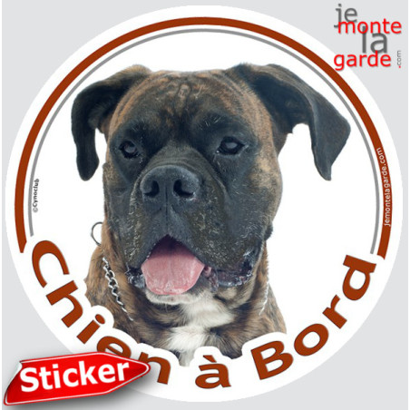 Boxer bringé, sticker autocollant rond "Chien à Bord" Disque photo adhésif vitre voiture auto, bringué marron, résiste pluie sol