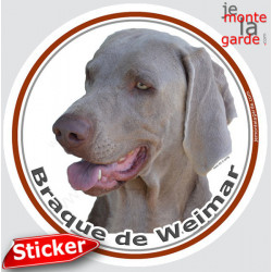 Braque de Weimar, sticker autocollant rond photo pour voiture, frigo, vitre... Disque adhésif