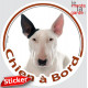 Bull Terrier blanc oreille noire Tête, sticker autocollant rond "Chien à Bord" Disque photo adhésif vitre voiture, chien auto