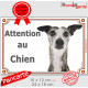 Lévrier Whippet bringé Tête, plaque portail "Attention au Chien" pancarte panneau photo