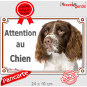 Springer Spaniel foie, plaque portail extérieur "Attention au Chien" 24 cm LUX