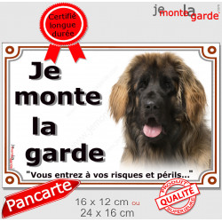Leonberg Tête, plaque portail extérieur "Je Monte la Garde, risques périls" pancarte photo race