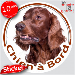 Setter Irlandais marron acajou, sticker autocollant rond "Chien à Bord" adhésif photo vitre voiture