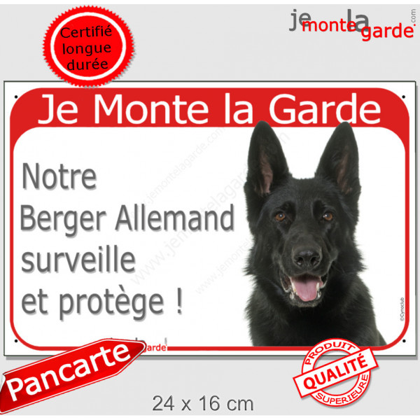Berger Allemand tout noir poils courts tête, plaque portail rouge "Je Monte la Garde, surveille protège" pancarte panneau photo