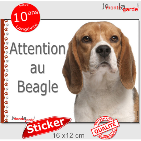 Beagle, sticker autocollant extérieur "Attention au Chien" 16 cm