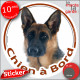 Berger Allemand noir et feu poils courts, sticker autocollant rond "Chien à Bord" voiture, vitre auto photo