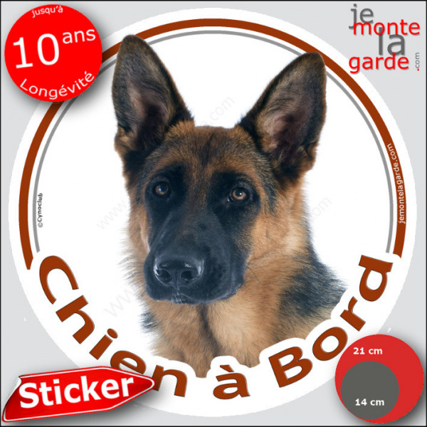 Berger Allemand noir et feu poils courts, sticker autocollant rond "Chien à Bord" voiture, vitre auto photo