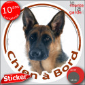 Berger Allemand poils courts, sticker voiture "Chien à Bord" 2 tailles D