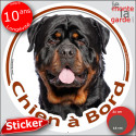 Rottweiler XL, sticker voiture rond photo "Chien à Bord" 2 tailles