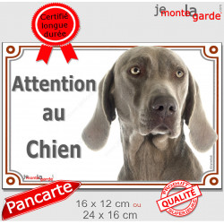 Braque de Weimar, plaque portail "Attention au Chien" pancarte panneau photo Weimaraner