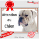 Bouledogue Américain tout blanc, plaque portail extérieur "Attention au Chien" pancarte Bulldog USA