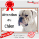 Bouledogue Américain tout blanc, plaque portail extérieur "Attention au Chien" pancarte Bulldog USA