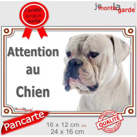 Bouledogue Américain tout blanc, plaque portail "Attention au Chien" photo Bulldog USA Boulam, résiste pluie soleil gel, idée ca