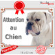 Bouledogue Américain tout blanc, plaque portail extérieur "Attention au Chien" pancarte Bulldog USA