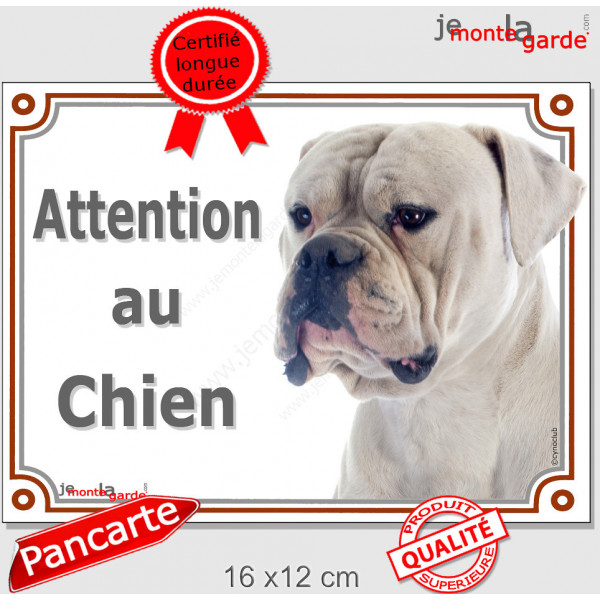 Bouledogue Américain tout blanc, plaque portail extérieur "Attention au Chien" pancarte Bulldog USA