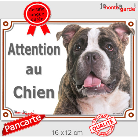 American Bully bringé, plaque portail "Attention au Chien"  2 tailles LUX D