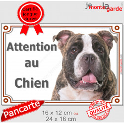 American Bully bringé, plaque portail "Attention au Chien" 2 tailles LUX D