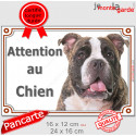 American Bully bringé, plaque portail "Attention au Chien" 2 tailles LUX D