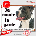 Amstaff noir et blanc, autocollant photo "Je Monte la Garde, risques périls" 16 cm