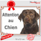 Labrador chocolat tête, plaque portail "Attention au Chien" pancarte panneau photo Labradore Retriever marron brun