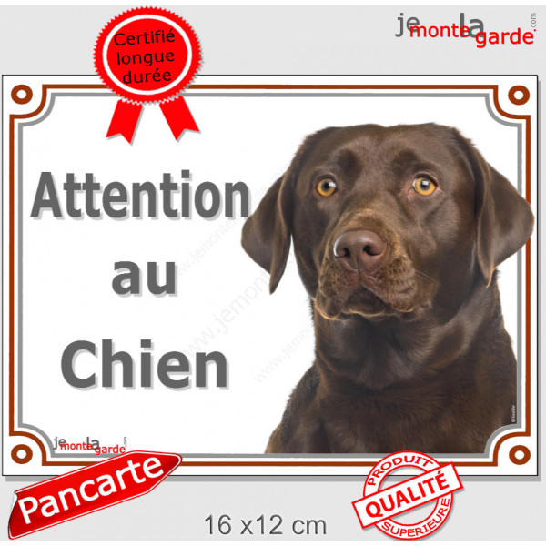 Labrador chocolat tête, plaque portail "Attention au Chien" pancarte panneau photo Labradore Retriever marron brun