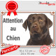 Labrador chocolat tête, plaque portail "Attention au Chien" pancarte panneau photo Labradore Retriever marron brun