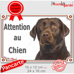 Labrador chocolat tête, plaque portail "Attention au Chien" pancarte panneau photo Labradore Retriever marron brun