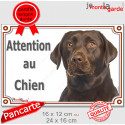 Labrador chocolat, plaque portail "Attention au Chien" 2 tailles LUXE D