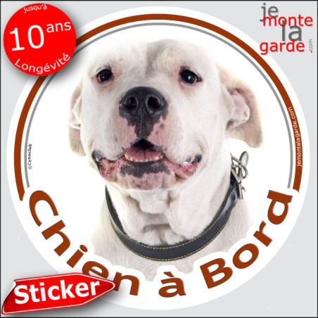 Dogue Argentin, sticker voiture rond "Chien à Bord" 2 tailles D