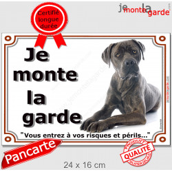 Cane Corso Italiano gris bleu, plaque portail "Je Monte la Garde, risques périls" pancarte panneau photo, Cane bringé couché