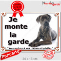 Cane Corso gris, plaque portail "je Monte la Garde, risques périls" 24 cm LUX