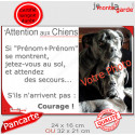 Photo Personnalisable, plaque humour PLURIEL "Attention au Chien, Jetez-Vous au Sol, courage" 2 tailles 3S
