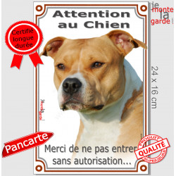 Amstaff Fauve et blanc, plaque portail verticale "Attention an Chien, interdit sans autorisation" photo American Staffordshire