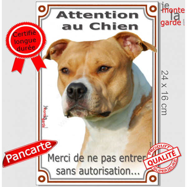 Amstaff Fauve et blanc, plaque portail verticale "Attention an Chien, interdit sans autorisation" photo American Staffordshire