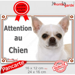 Chihuahua blanc à poils courts Tête, plaque portail extérieure "Attention au Chien" pancarte panneau beige photo