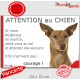 Podenco d'Ibiza, plaque portail humour "Attention au Chien, Jetez Vous au Sol, attendez secours, courage" photo pancarte