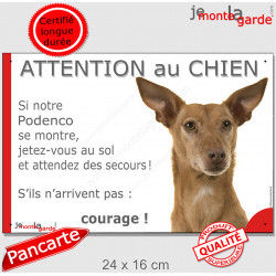Podenco d'Ibiza, plaque portail humour "Attention au Chien, Jetez Vous au Sol, attendez secours, courage" photo pancarte