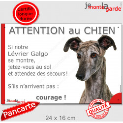 Lévrier Galgo Espagnol bringé, plaque portail humour "Attention au Chien, Jetez Vous au Sol, attendez secours, courage" photo