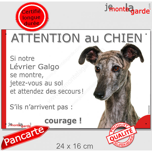 Lévrier Galgo Espagnol bringé, plaque portail humour "Attention au Chien, Jetez Vous au Sol, attendez secours, courage" photo