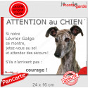 Lévrier Galgo bringé, plaque portail humour "Attention au Chien, Jetez Vous au Sol" 24 cm JET