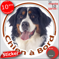 Bouvier Bernois, sticker autocollant rond voiture "Chien à Bord" Disque adhésif photo race