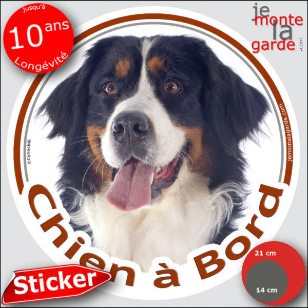 Bouvier Bernois, sticker autocollant rond voiture "Chien à Bord" Disque adhésif photo race