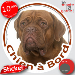 Dogue de Bordeaux face rouge Tête, sticker autocollant rond "Chien à Bord" Disque adhésif vitre voiture chien photo