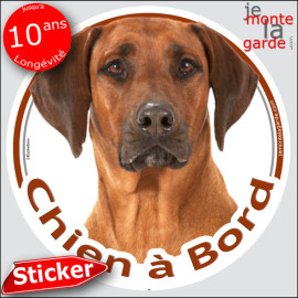 Rhodesian Ridgeback, sticker autocollant rond "Chien à Bord" pour vitre voiture, adhésif photo race, résiste pluie soleil gel, i