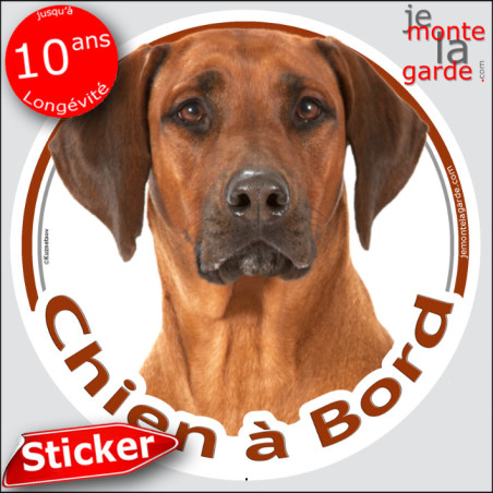Rhodesian Ridgeback, sticker autocollant rond "Chien à Bord" pour vitre voiture, adhésif photo race, résiste pluie soleil gel, i
