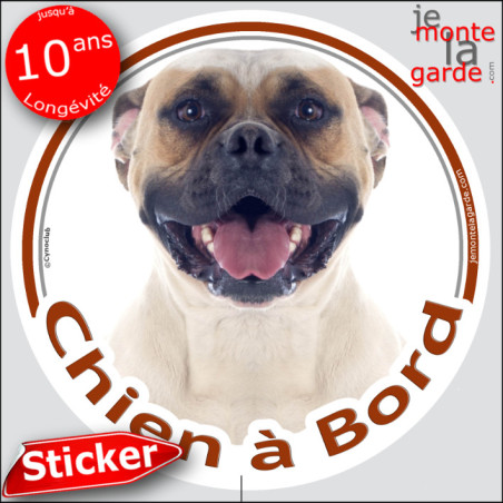 Bouledogue Américain Blanc et Fauve, sticker autocollant rond "Chien à Bord" Disque photo adhésif vitre voiture Boulam, résiste 