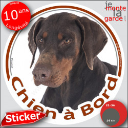 Dobermann marron, sticker autocollant rond "Chien à Bord" disque adhésif vitre voiture chien photo Doberman chocolat brun foie