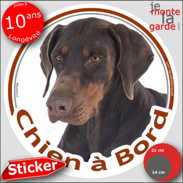 Dobermann marron, sticker autocollant rond "Chien à Bord" disque adhésif vitre voiture chien photo Doberman chocolat brun foie