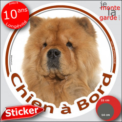 Chow-Chow fauve orange Tête , sticker autocollant rond "Chien à Bord" Disque adhésif vitre voiture photo
