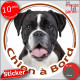 Boxer bringé foncé, presque noir, sticker autocollant rond "Chien à Bord" Disque photo adhésif vitre voiture auto, bringué